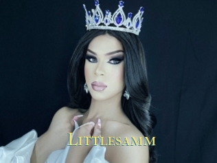 Littlesamm