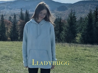 Lladybugg