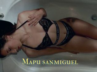 Mapu_sanmiguel