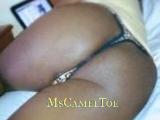 MsCamelToe