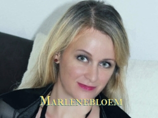 Marlenebloem