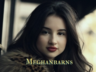 Meghanbarns