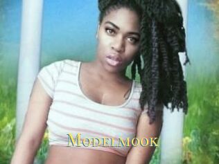 Modelmook