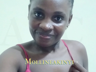 Mollineakinyi