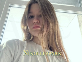 nikollespark Annonce 2 coquine