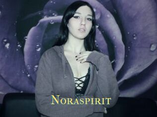 Noraspirit