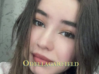 Odellagarfield