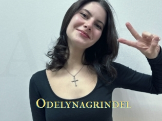 Odelynagrindel