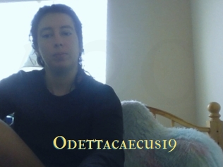 Odettacaecus19
