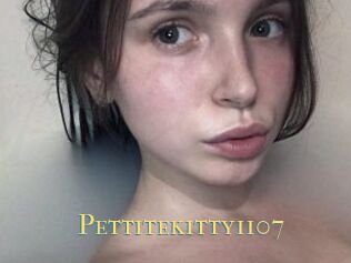 Pettitekitty1107