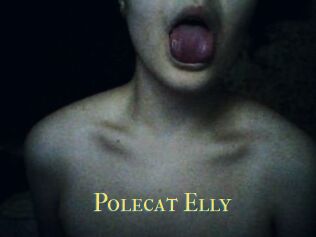 Polecat_Elly