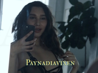 Paynadiavixen