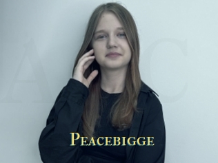 Peacebigge