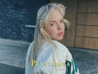 Plantarosa