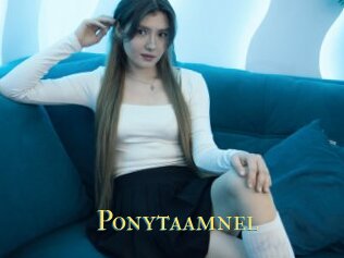 Ponytaamnel