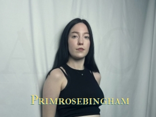 Primrosebingham