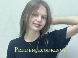 Prudencecodringt
