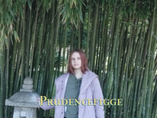Prudencefigge