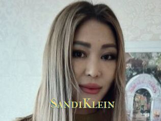 SandiKlein
