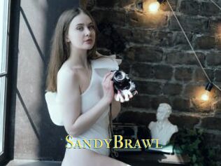 SandyBrawl