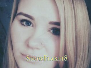 SnowFlake18