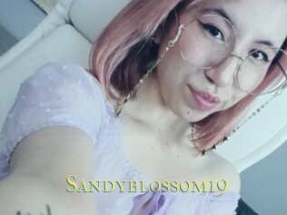 Sandyblossom19