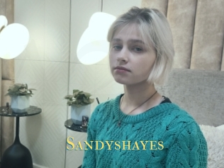 Sandyshayes
