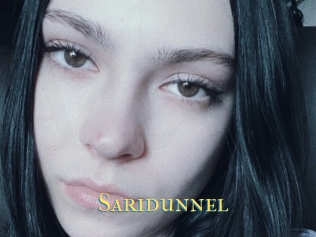 Saridunnel