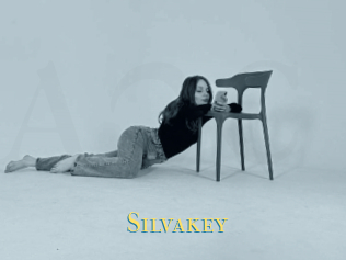 Silvakey