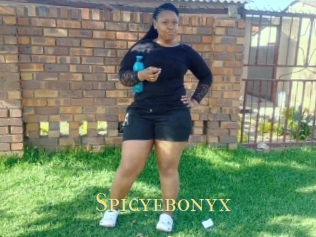 Spicyebonyx