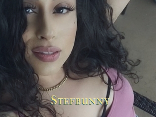 Stefbunny