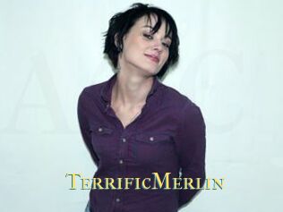 TerrificMerlin
