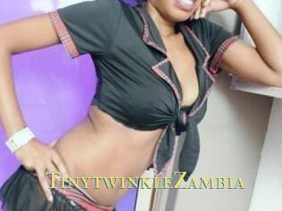TinytwinkleZambia