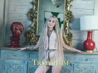 TrixiPlum