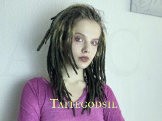 Taitegodsil