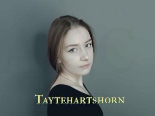 Taytehartshorn