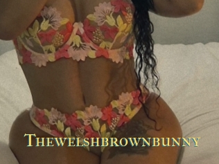 Thewelshbrownbunny