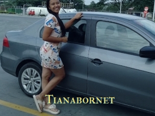 Tianabornet