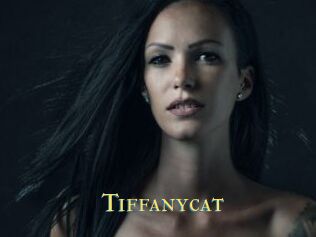 Tiffanycat