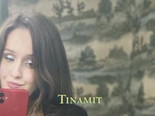 Tinamit