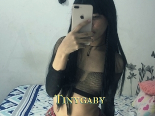 Tinygaby