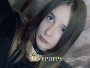 Tinypuppy