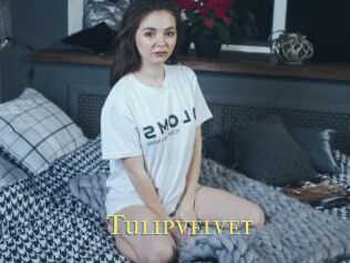 Tulipvelvet
