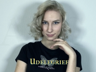 Udelegrief