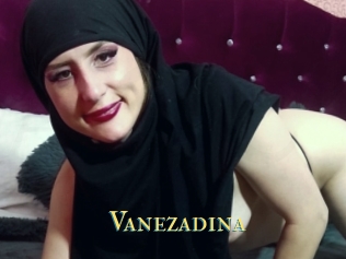 Vanezadina