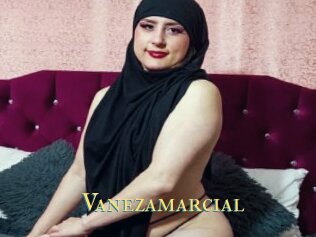 Vanezamarcial