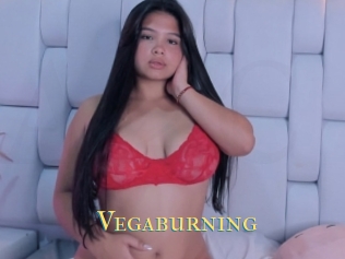 Vegaburning