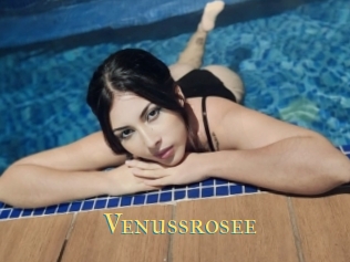 Venussrosee
