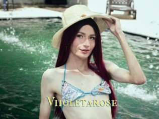 Viioletarose