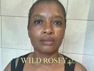WILD_ROSEY40